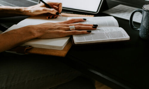 Complete Beginner to JavaScript Developer